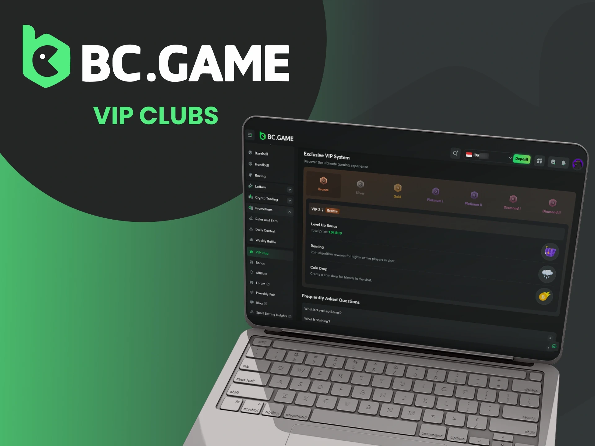 Tentang program dan level VIP di situs web BC Game.