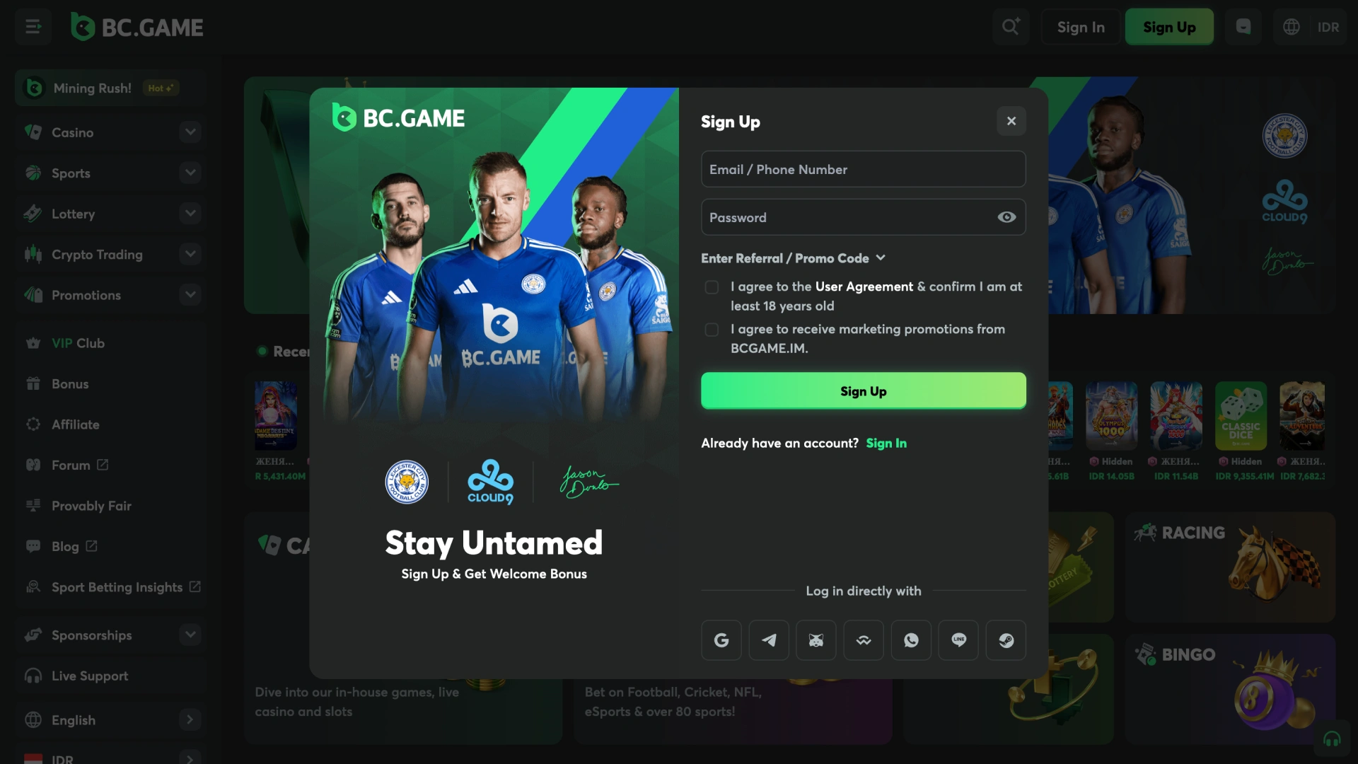 Bidang apa yang perlu diisi saat mendaftar di situs web kasino online BC Game.